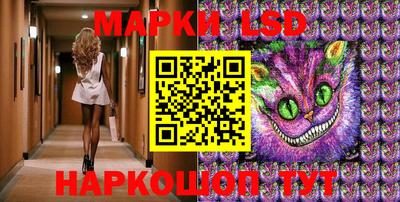 стаф Донской