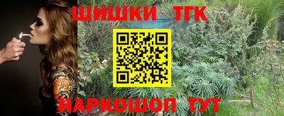 стаф Донской